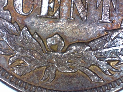 1906-Indian-Head-Penny-Is-This-Gradeable?