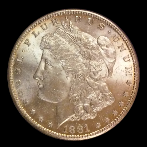 Help-Grade-This-Morgan-1881-S