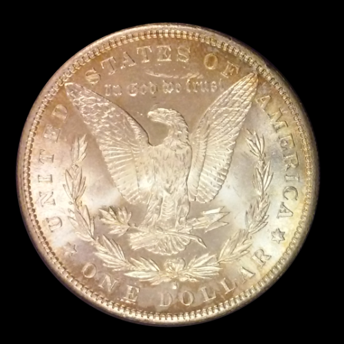 Help-Grade-This-Morgan-1881-S