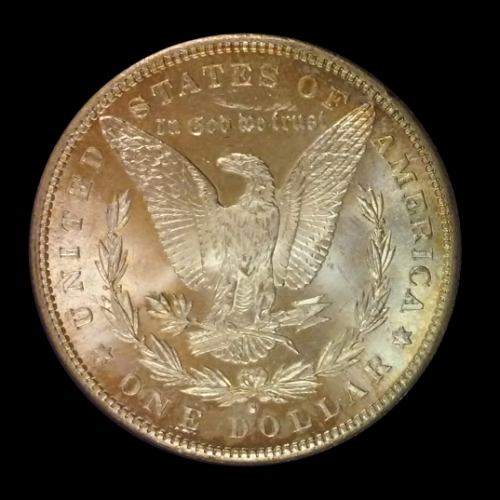 Help-Grade-This-Morgan-1881-S