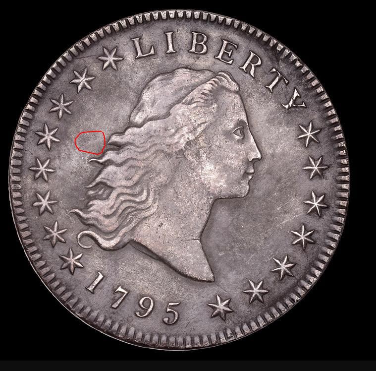 1795-$1-Flowing-Hair-Authenticity-Validation
