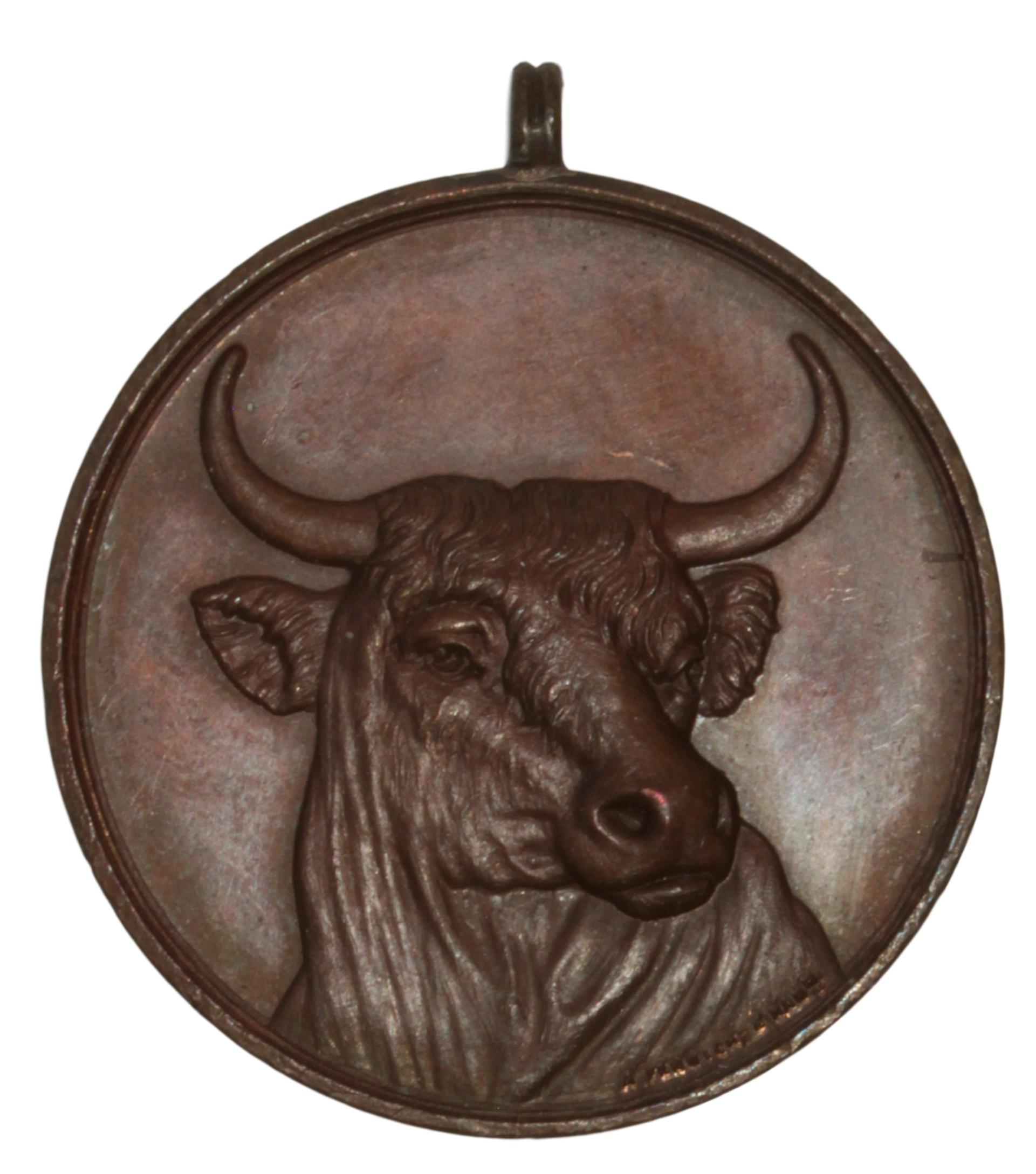 What-Is-This?-A-Medal/Token-