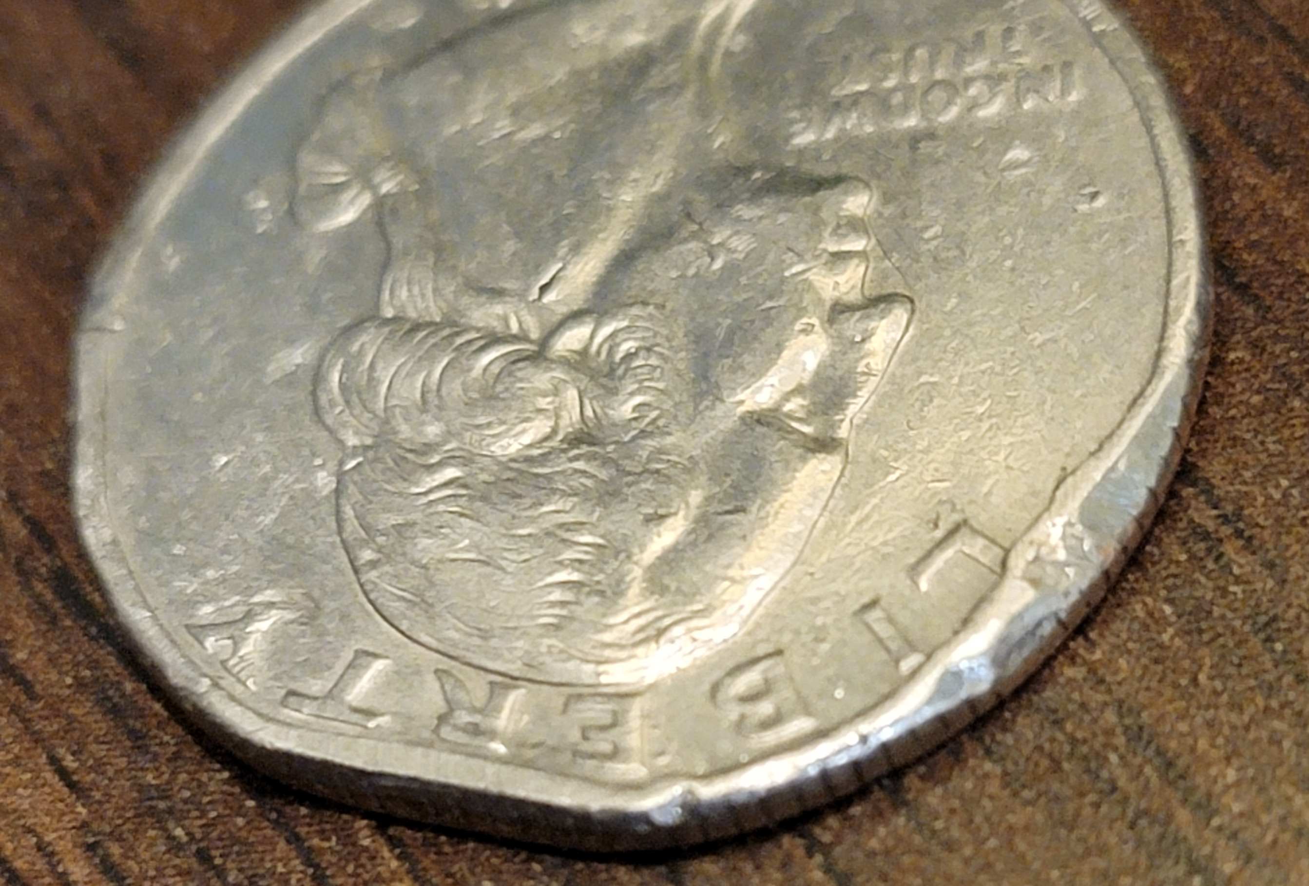 Please-Give-Me-Your-Opinion-On-This-1996-P-Quarter.