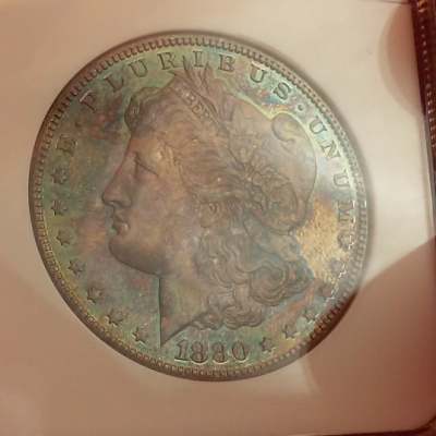 You-Vs.-NGC-1880-S-Morgan-Dollar-Monster-Toning-GTG---Grade-Revealed