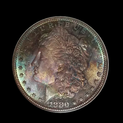 You-Vs.-NGC-1880-S-Morgan-Dollar-Monster-Toning-GTG---Grade-Revealed