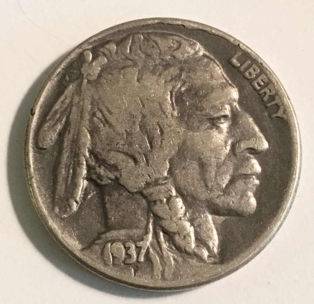 Counterfeit-Or-Legit-3-Legged-Buffalo