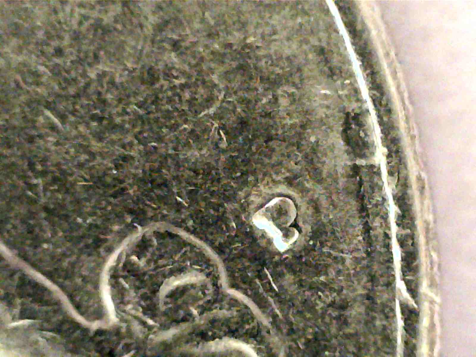 Is-This-1982-P-Washington-Quarter-Real?