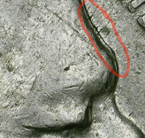 1937-D-Buffalo-Nickel-Double-Die?