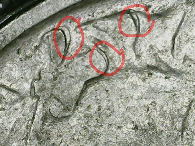 1937-D-Buffalo-Nickel-Double-Die?
