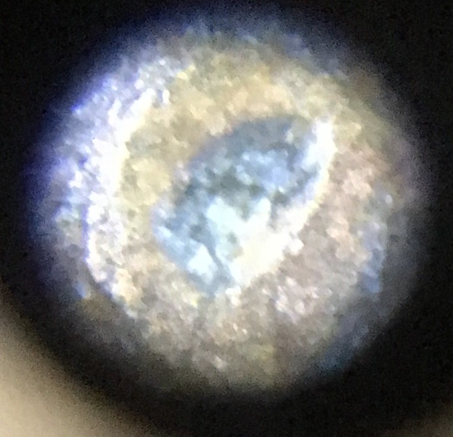 Possible-Cud-Error-On-A-1950-D-Wheat-Penny-Also-Missing-The-L-In-Liberty