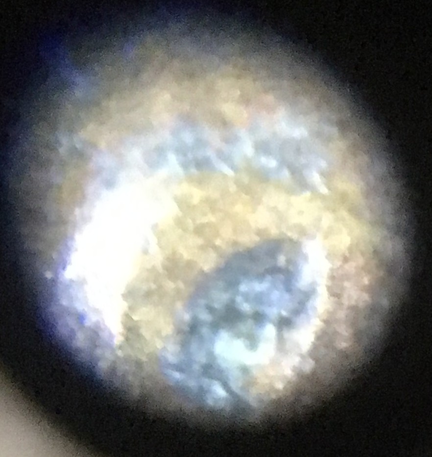 Possible-Cud-Error-On-A-1950-D-Wheat-Penny-Also-Missing-The-L-In-Liberty