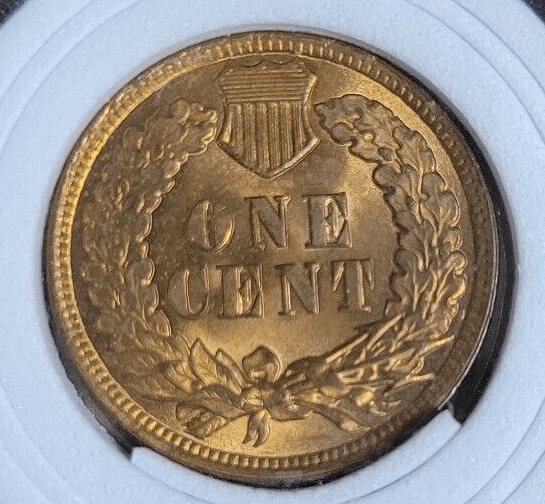 Indian-Cents---1901-Possible-New-Die-Varieties?