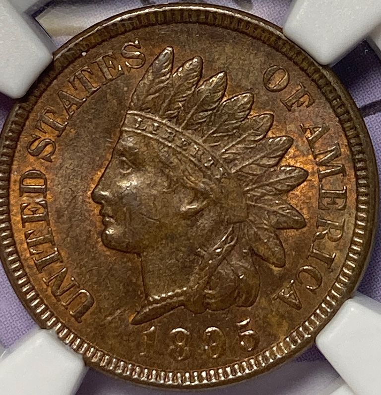 1895-IHC---You-Vs-NGC---Your-Grade?