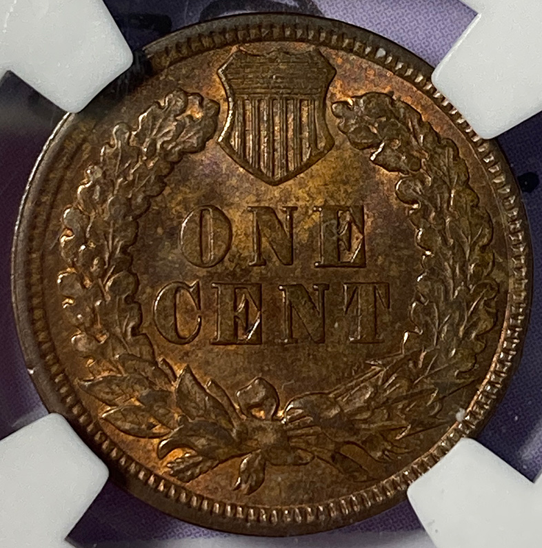 1895-IHC---You-Vs-NGC---Your-Grade?