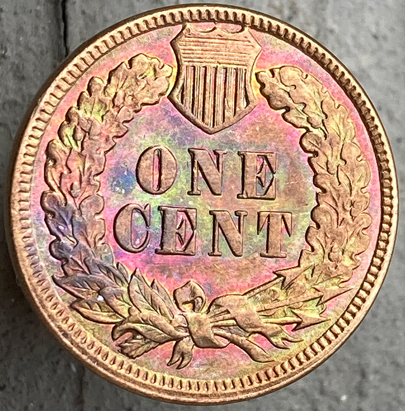 1891-Indian-For-Grade-And-Comments