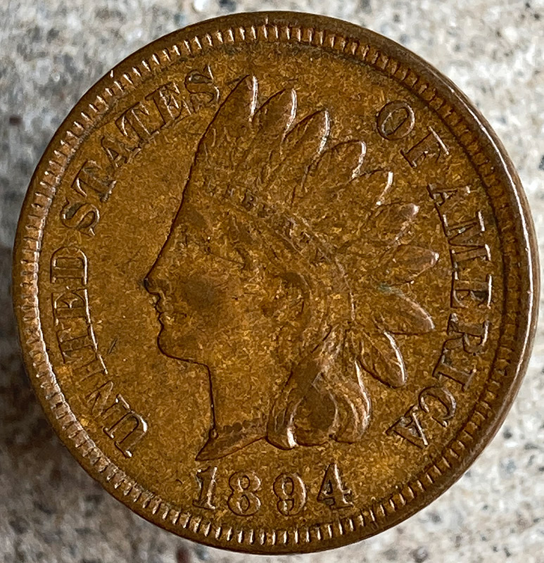 1894-Indian-Cent---Looks-Like-I-Bought-A-Pig-In-A-Poke