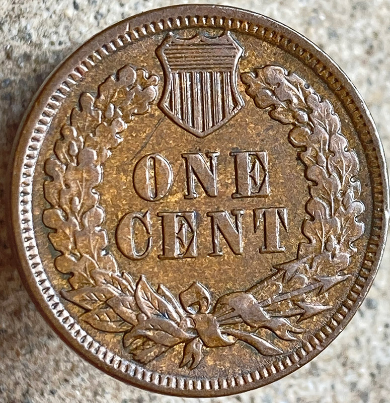 1894-Indian-Cent---Looks-Like-I-Bought-A-Pig-In-A-Poke