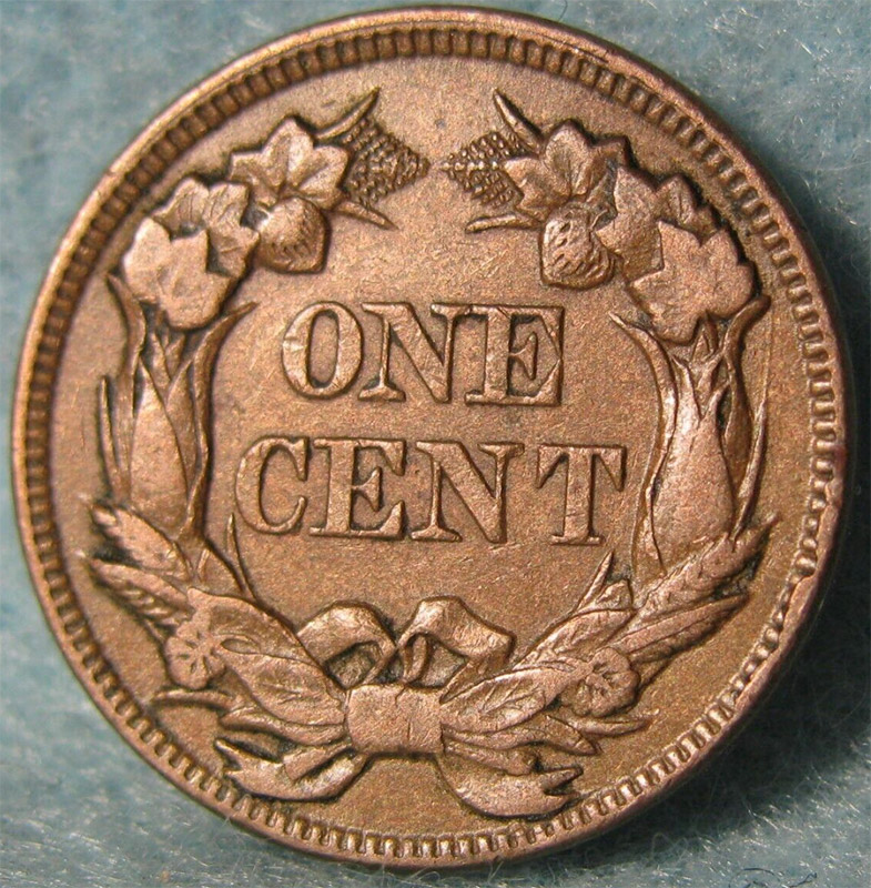 1858-Flying-Eagle-Cent---Small-Letters-/-High-Leaves---Opinions-And-Grading