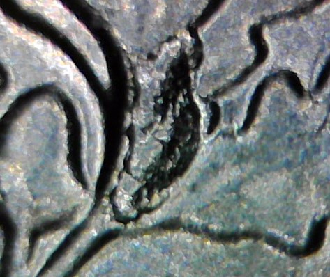 2018-P-Dime-With-Stem-On-Reverse
