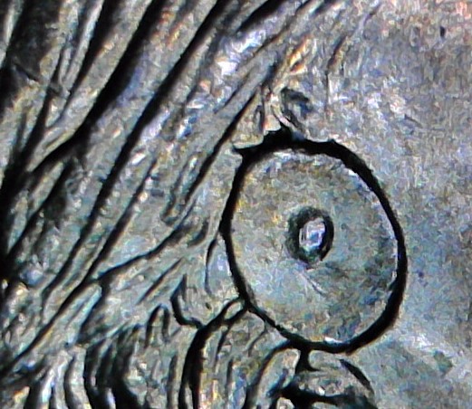 2000-P-Native-American-&-Sacagawea-Dollar---Hair-Error