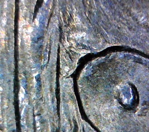 2000-P-Native-American-&-Sacagawea-Dollar---Hair-Error
