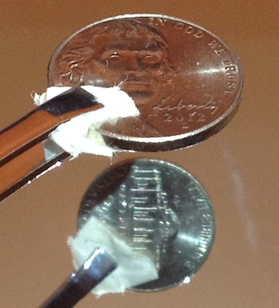 2012-D-Nickel-Die-Rotation