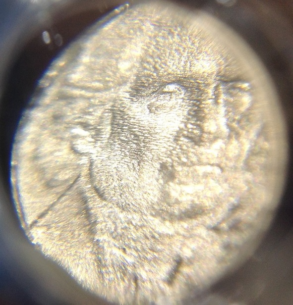 2006-D-Nickel:-Error-Or-Altered?