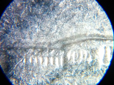 Nickel-Error-Id:-6-Coins
