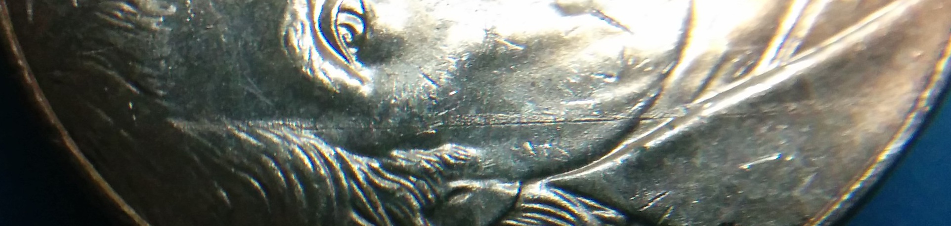 2014-D-Die-Error