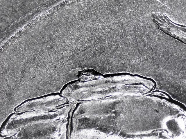 2016-Shawnee-Quarter-Reverse-Die-Error?