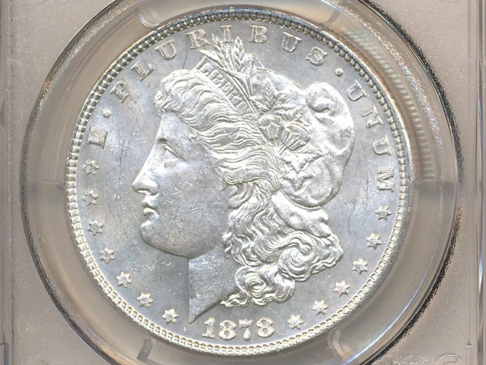 Need-Help-With-VAM-On-1878-P-Morgan-Dollar