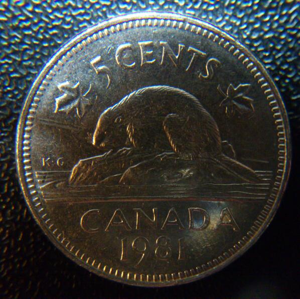 Dryer-Coins-Experiment.-1996-1c-&-1981-5c