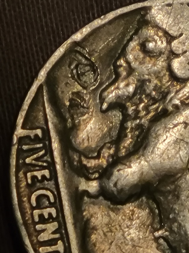 1936-Buffalo-Nickel--Is-This-A-Mint-Error-Or-Damage?