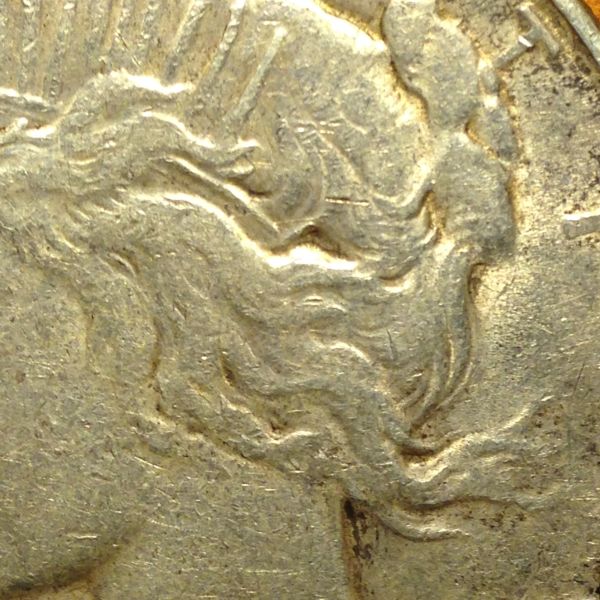 Grading/Selling-Opinions-On-1926-Peace-Dollar--Circulated