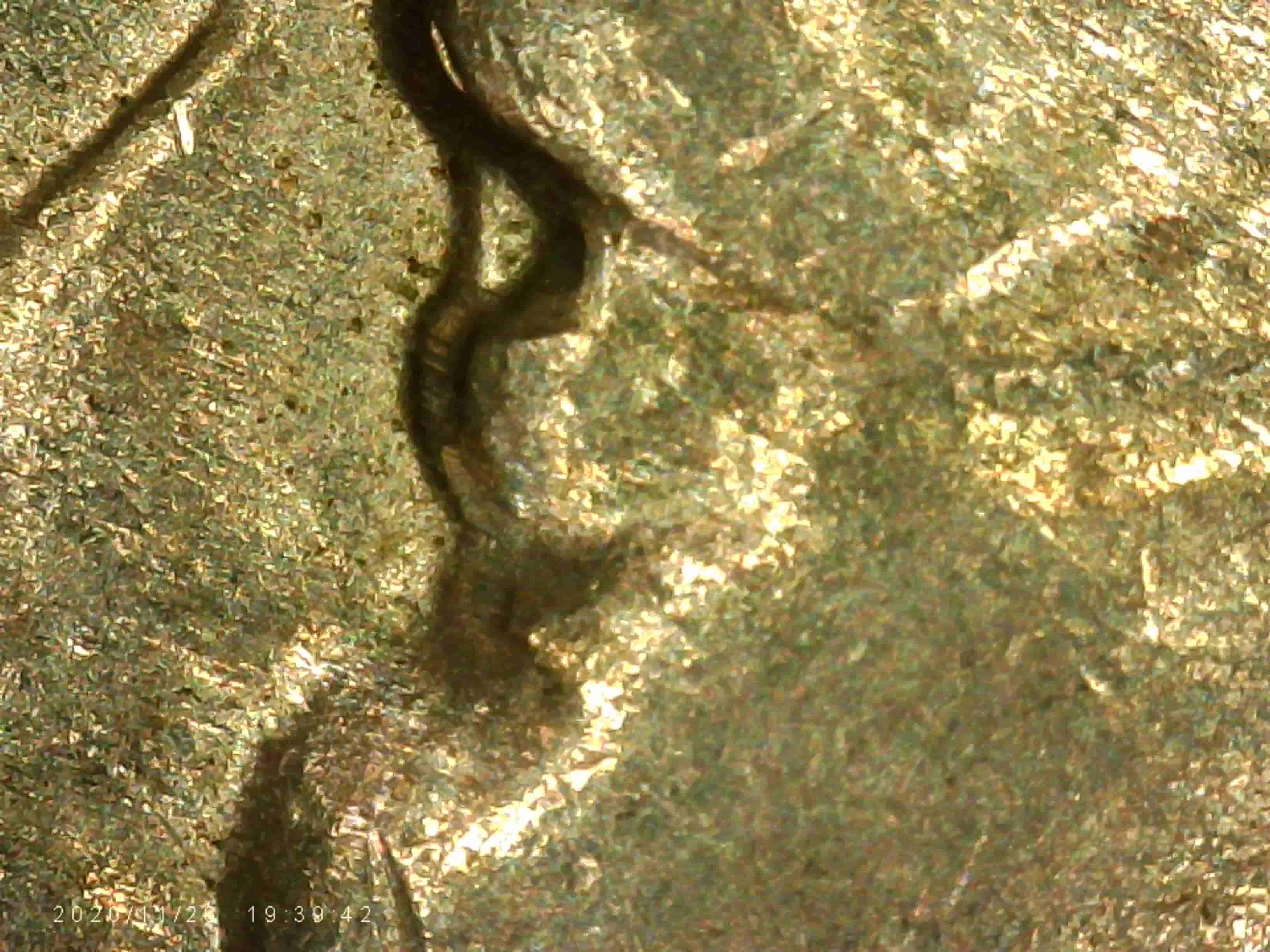 1972-D-Kennedy-Half-Dollar---Eye-Doubling?