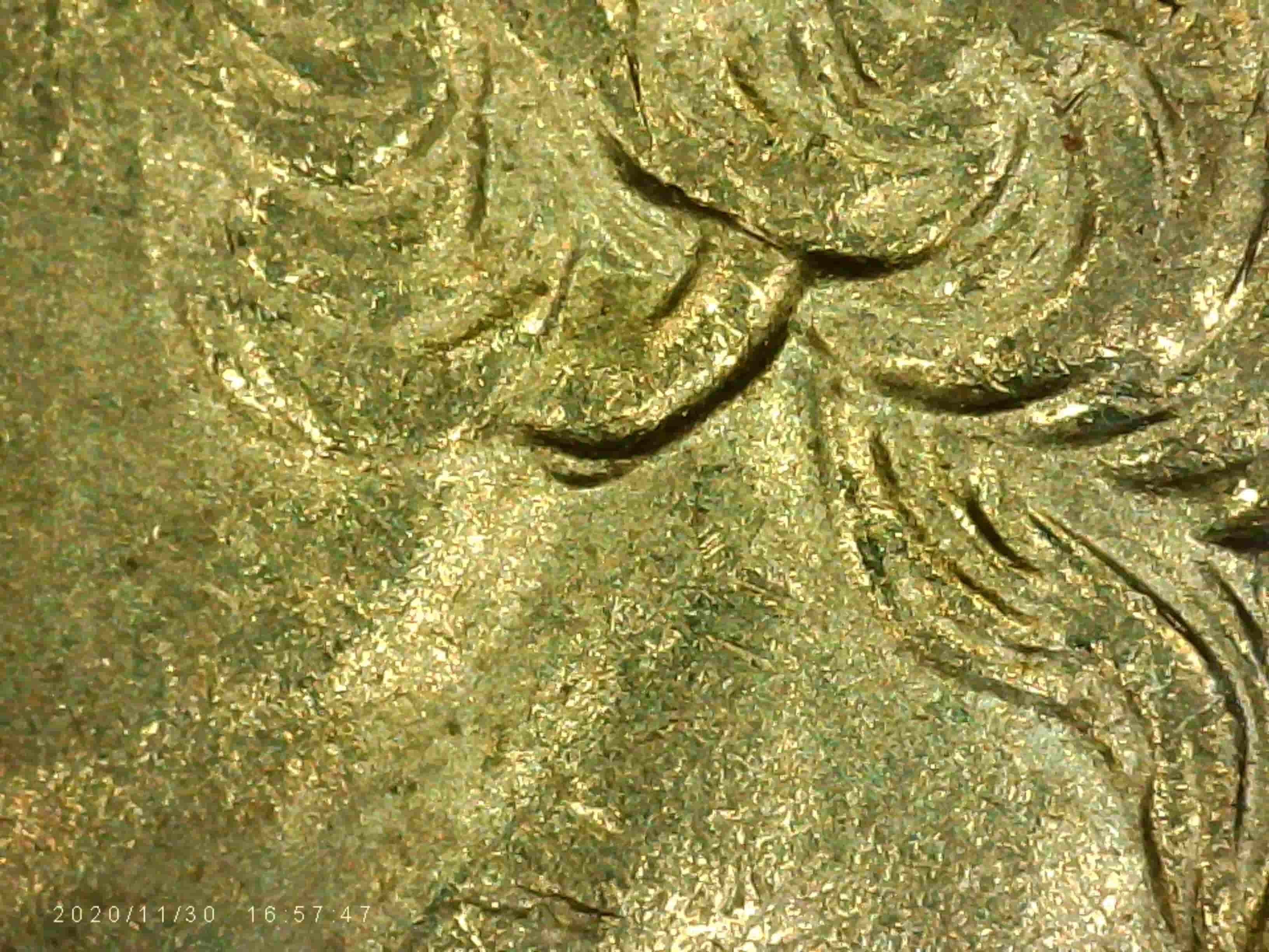 2008-P-New-Mexico-Quarter---Doubled-Ear