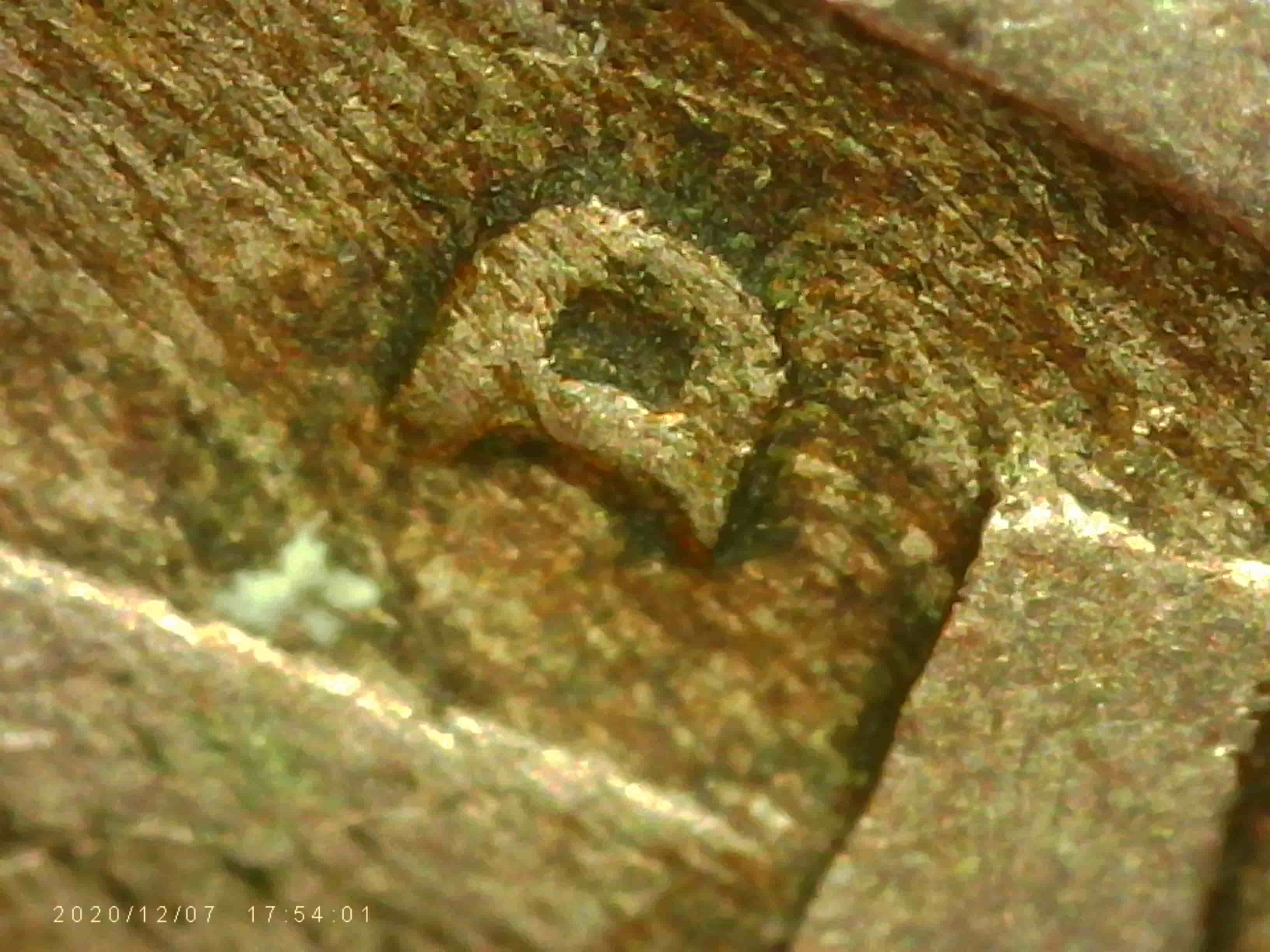 1941-D-Nickel_possible-D/D-Horizontal-RPM,-Tho-My-Hopes-Aren't-Up.