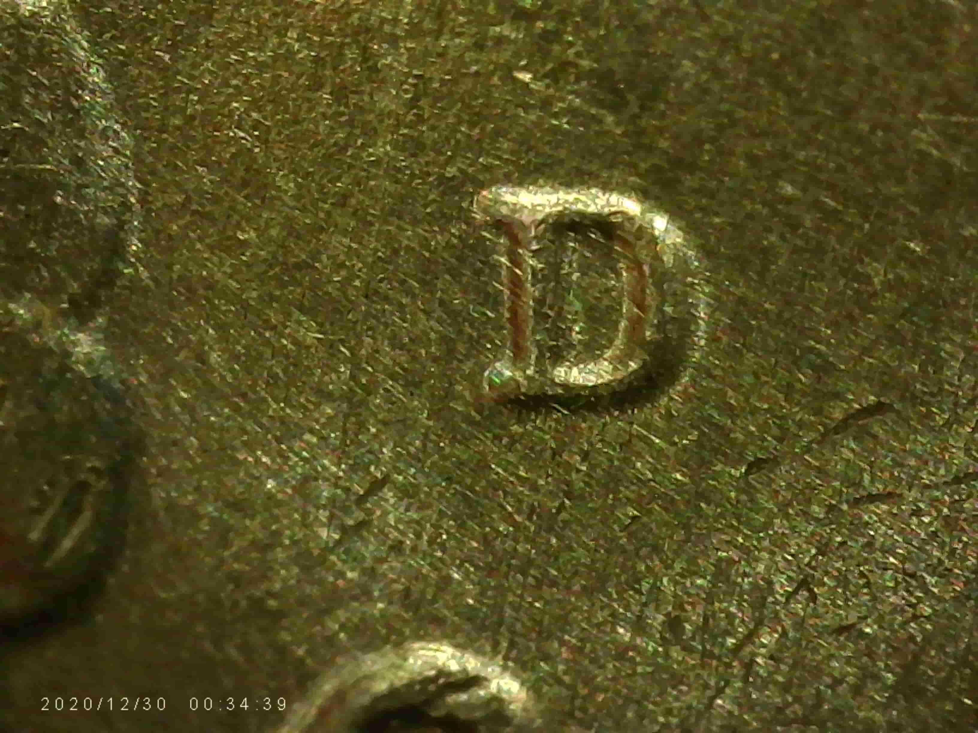 2020-D-Quarter---MD-Sadly