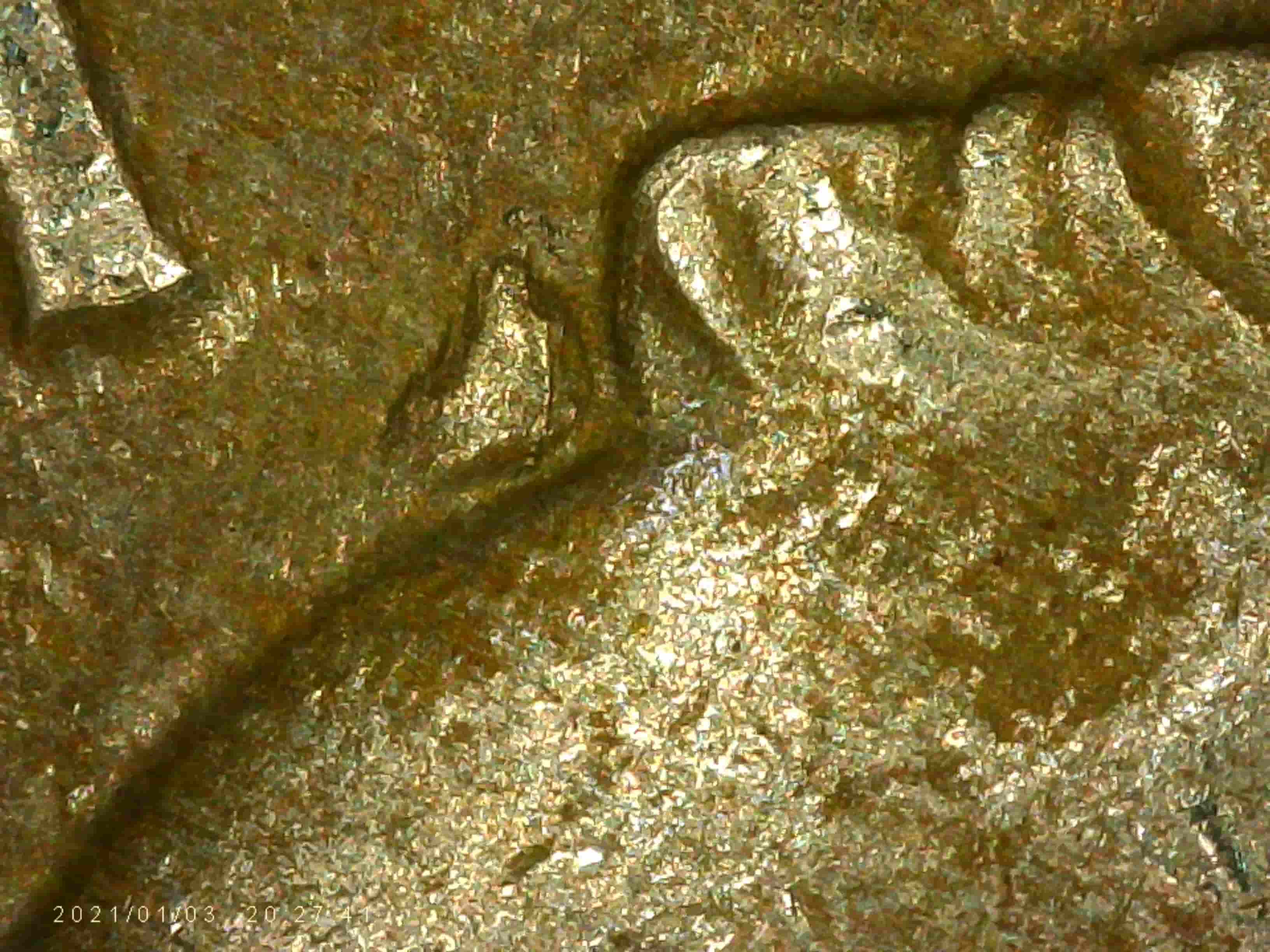 1989-P-Dime---Extra-Hair-Or-Well-Placed-Die-Chip?