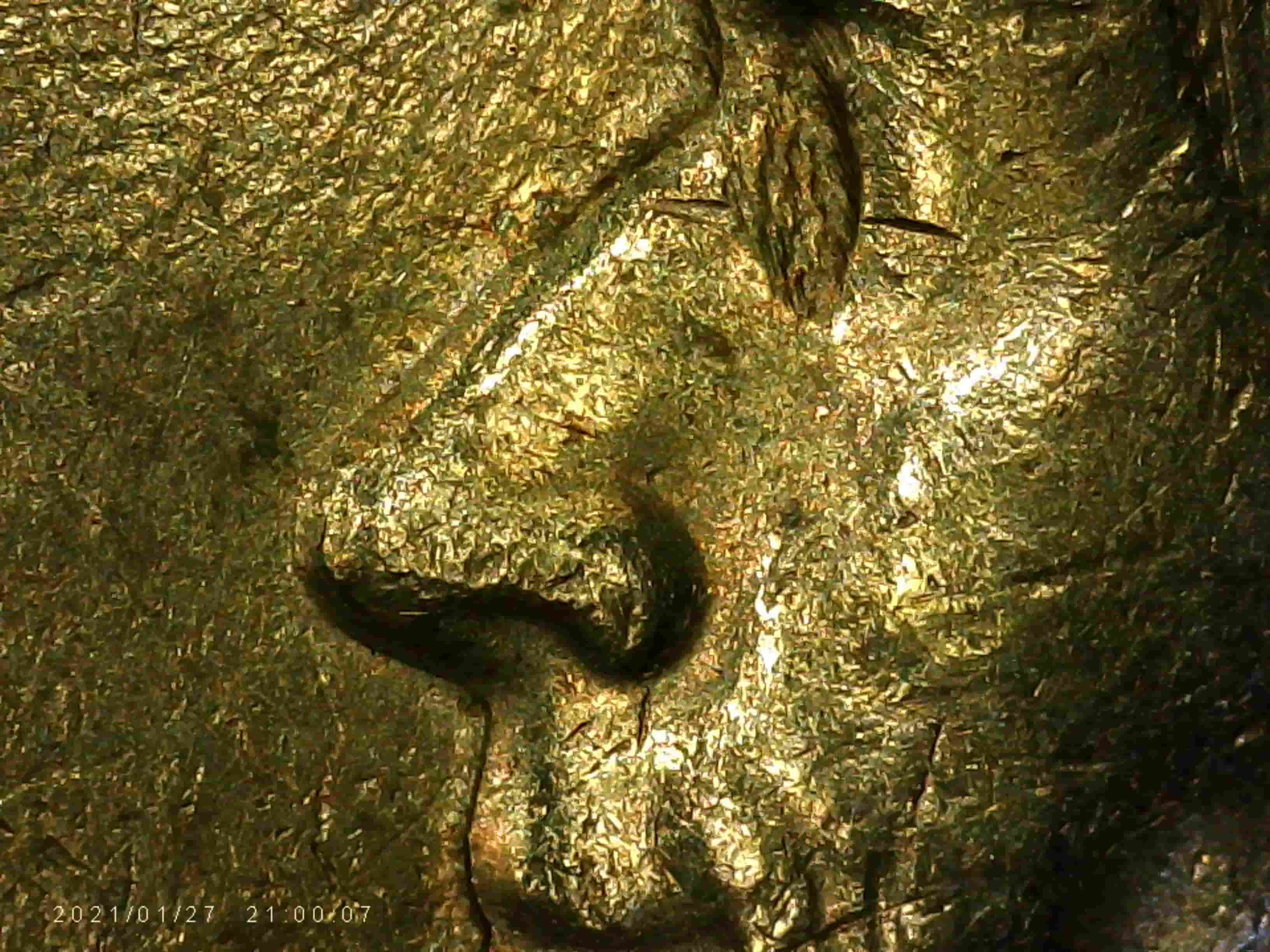 1990-P-Nickel---VLDS?