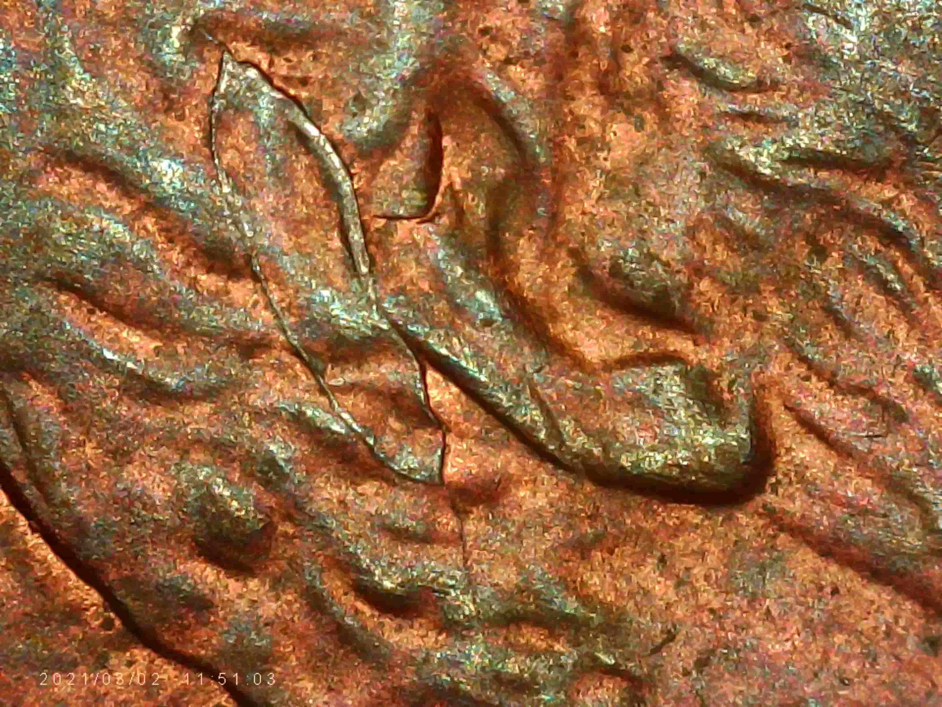 1995-P-Penny---Die-Cracks-Left-Of-Ear?