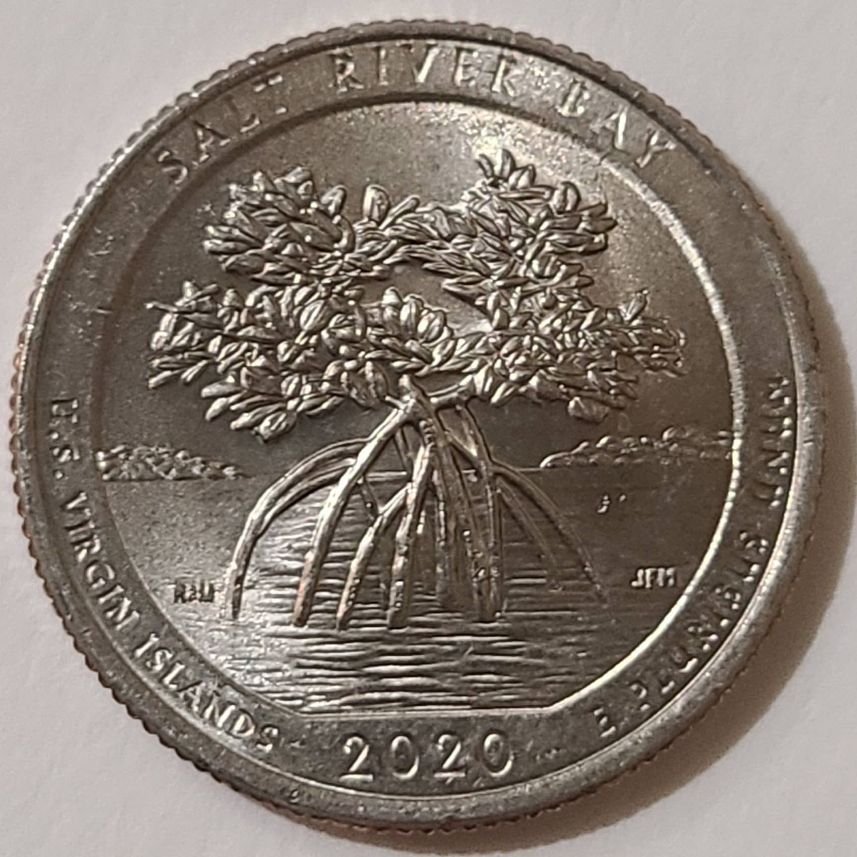 2020-P-Quarter---Doubling-On-Initials-And-Upper-Left-Leaves?