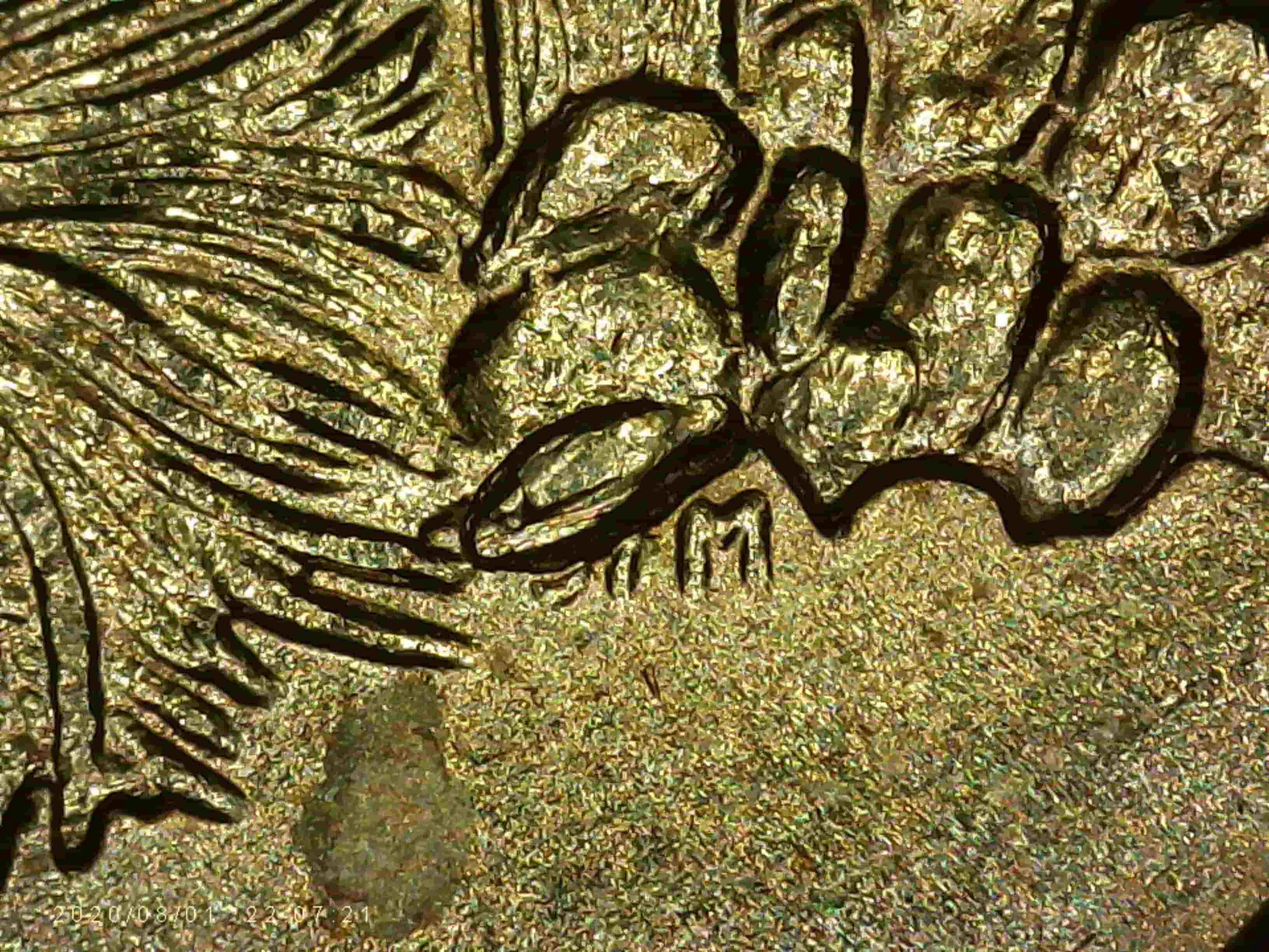 2008-P-Arizona-Quarter---Found-Me-An-Extra-Cactus-Leaf-Die-Chip*