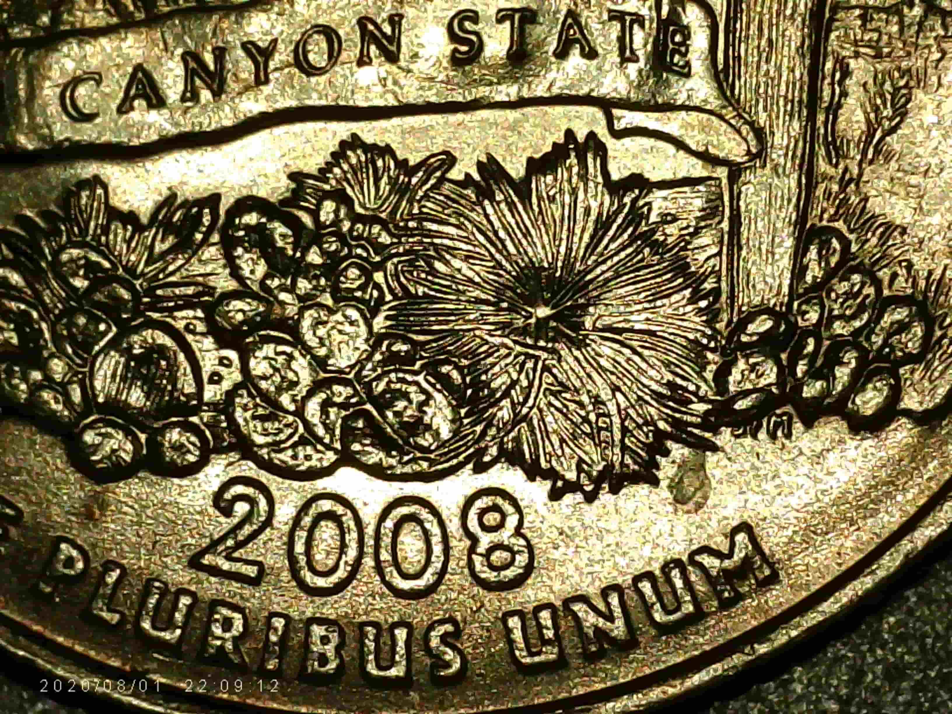 2008-P-Arizona-Quarter---Found-Me-An-Extra-Cactus-Leaf-Die-Chip*