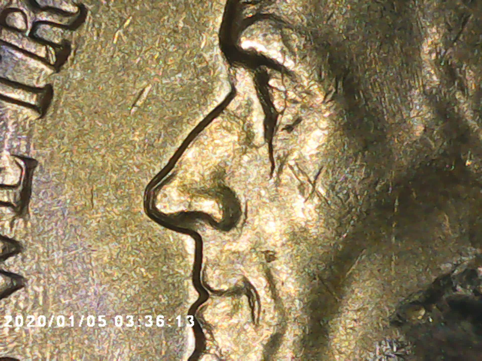 1960-P-Nickel---Need-Help.dd,-MD,-Or-VLDS?