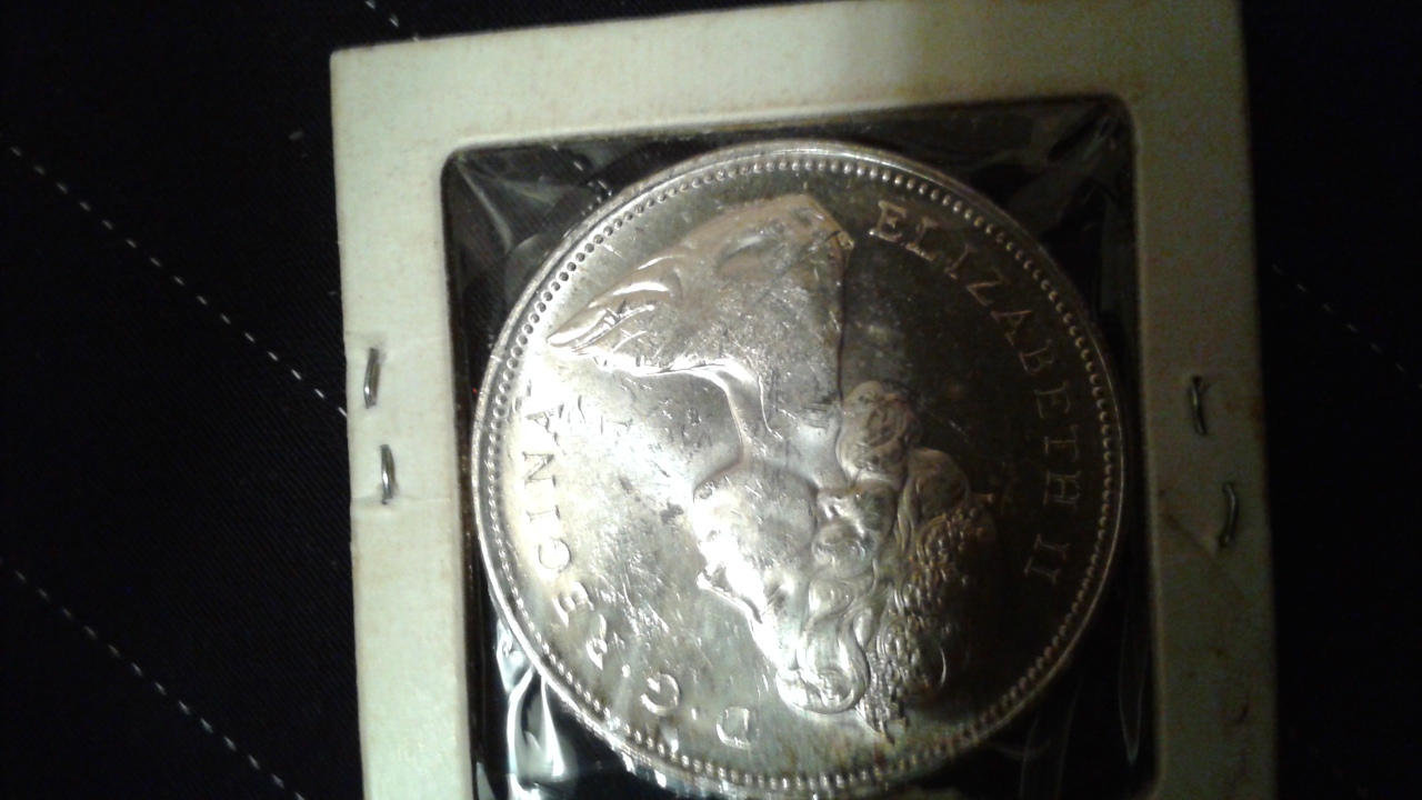 1966-Silver-Dollar-How-To-Tell-Large-And-Small-Beads