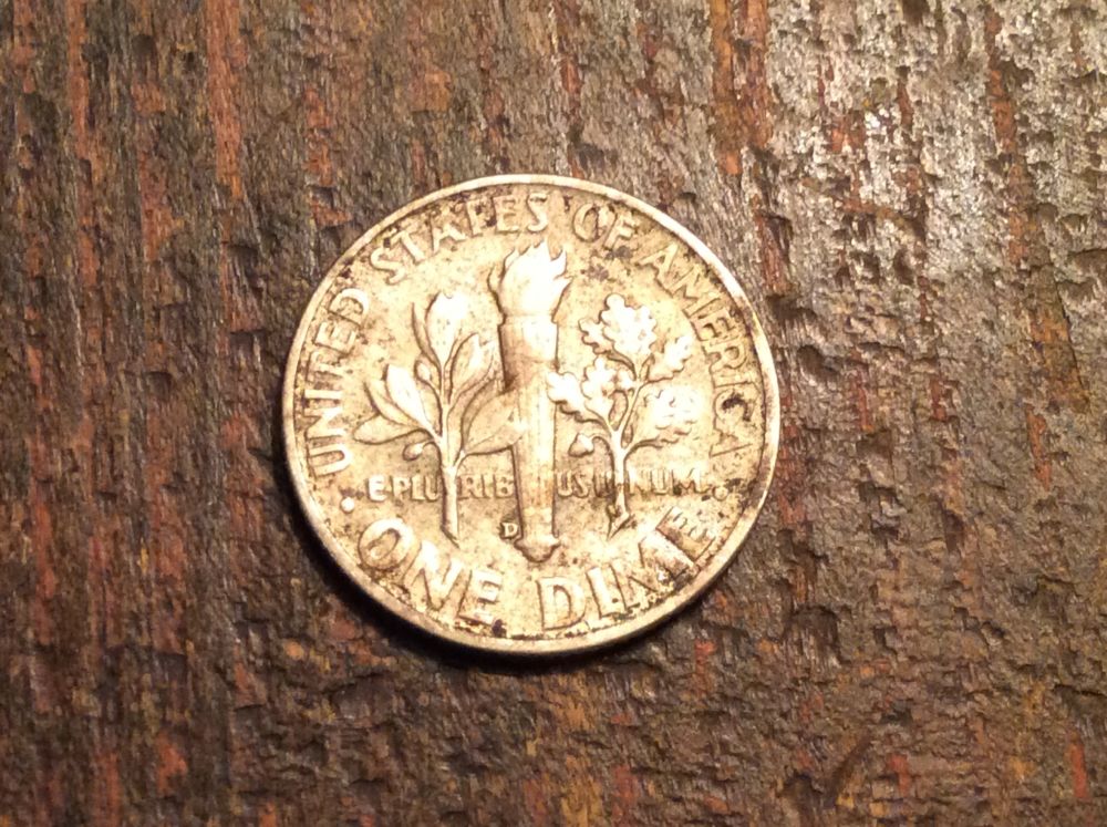 Coin-Finds-Nice-Coins-Ahead!