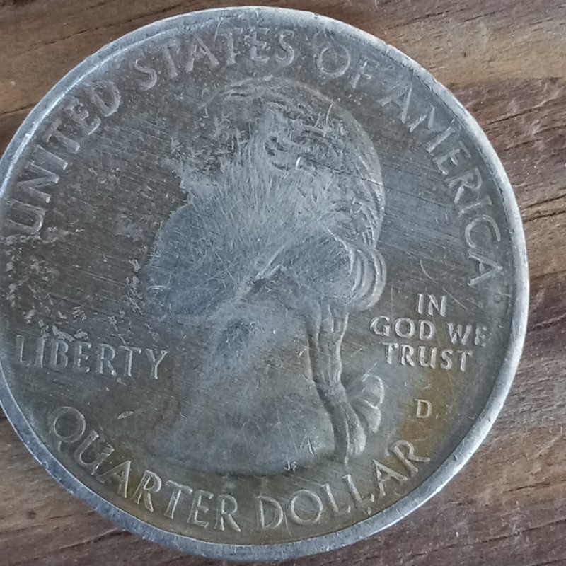 2015-N-Carolina-Quarter-And-2013-Dime-Errors?