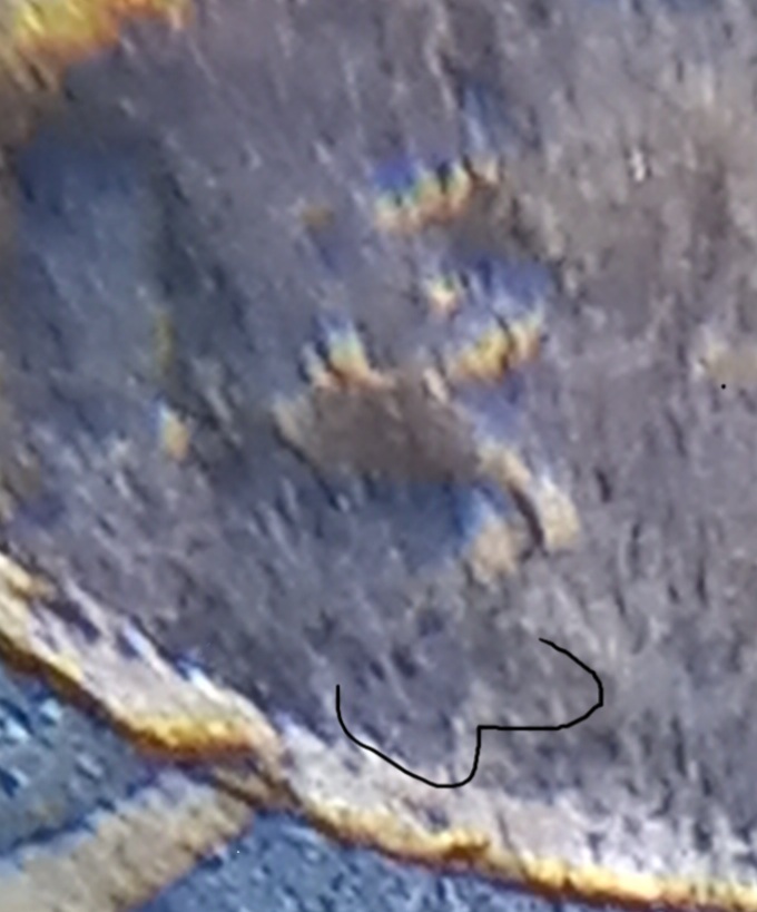 Need-Help-Identifying