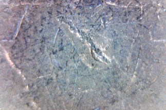 2005-D-Buffalo-Nickel---Peeing-Buffalo?